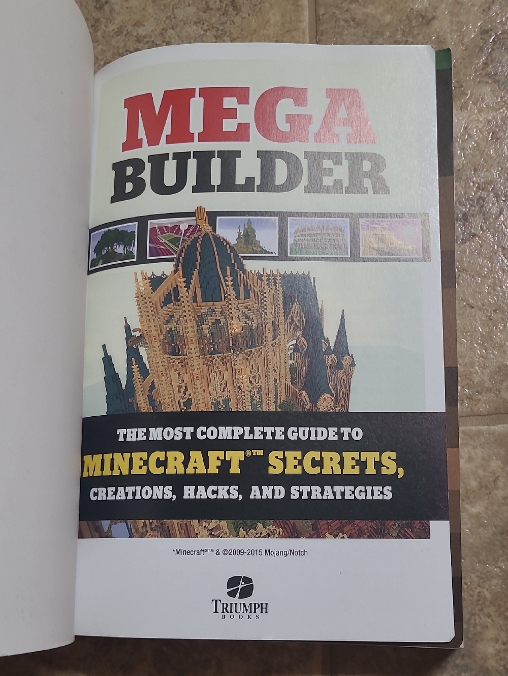 Mega Builder: Minecraft Secrets Guide - Picture 2 of 7